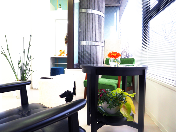 Generic placeholder image